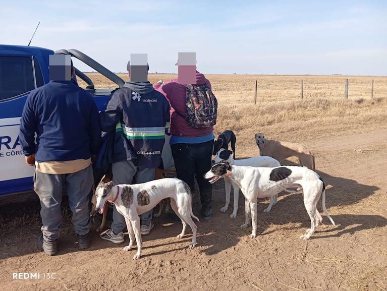 Los cazadores fueron arrestados en las zonas rurales de Hernando, Río Cuarto, San Marcos Sud y Riobamba.