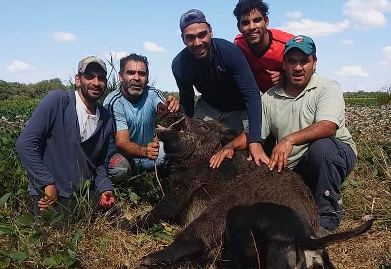 Los "cazadores" posaron junto al animal muerto.