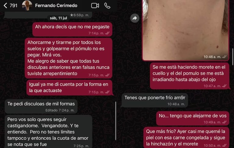 Los chats con Cerimedo