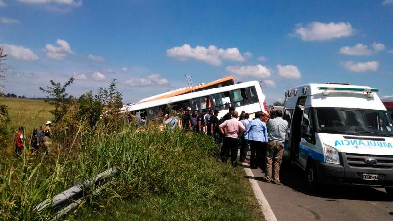 Los colectivos chocaron de frente y quedaron en una zanja al lado de la ruta. Foto: @GasDalleva.