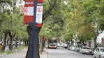 Los colectivos no circulan en Córdoba.