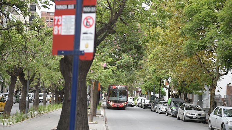 Los colectivos no circulan en Córdoba.