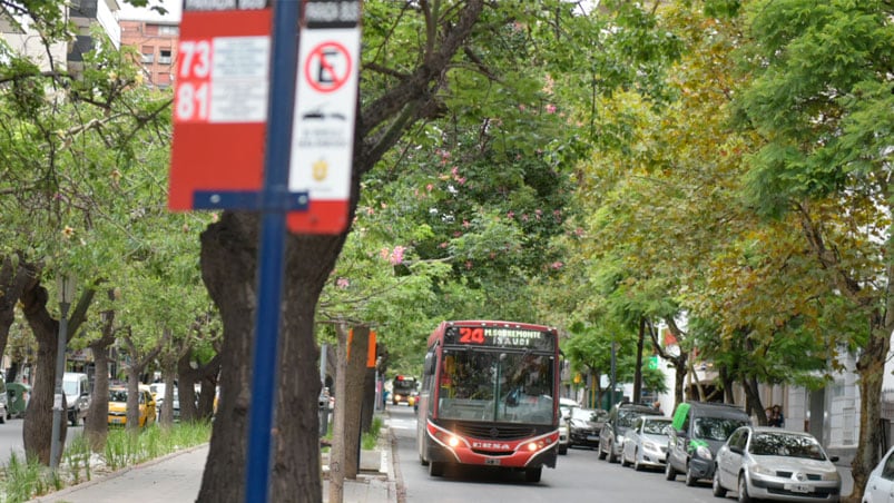 Los colectivos urbanos circulan con normalidad en Córdoba. Foto: Lucio Casalla/El Doce.