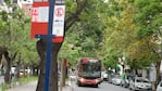 Los colectivos urbanos circulan con normalidad en Córdoba. Foto: Lucio Casalla/El Doce.