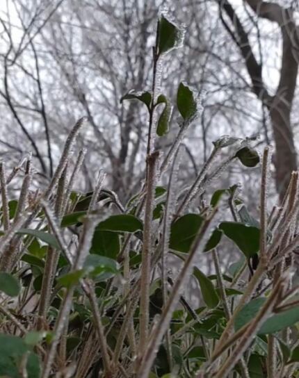 Los copos de nieve cayeron en Los Gigantes. Foto: Carlos Paz Vivo!