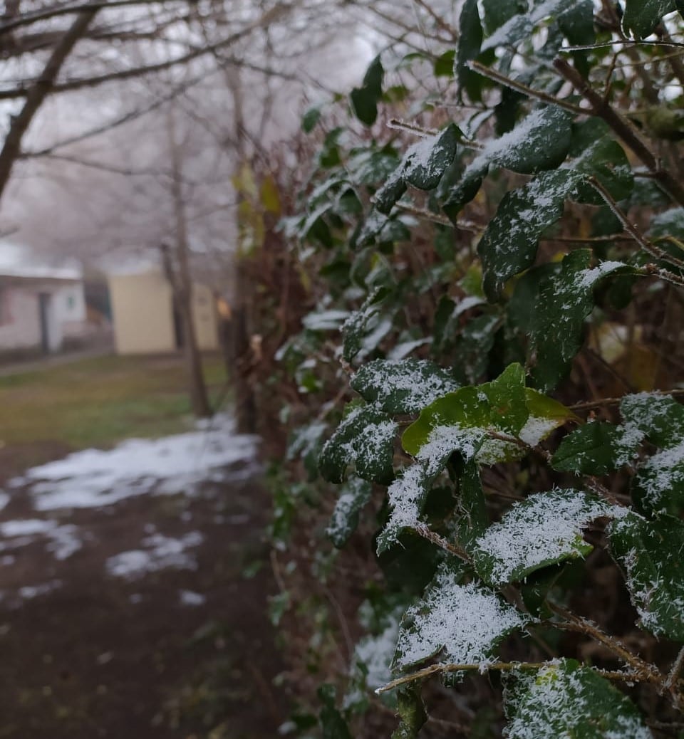 Los copos de nieve cayeron en Los Gigantes. Foto: Carlos Paz Vivo!