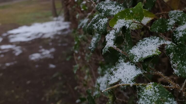 Los copos de nieve cayeron en Los Gigantes. Foto: Carlos Paz Vivo!