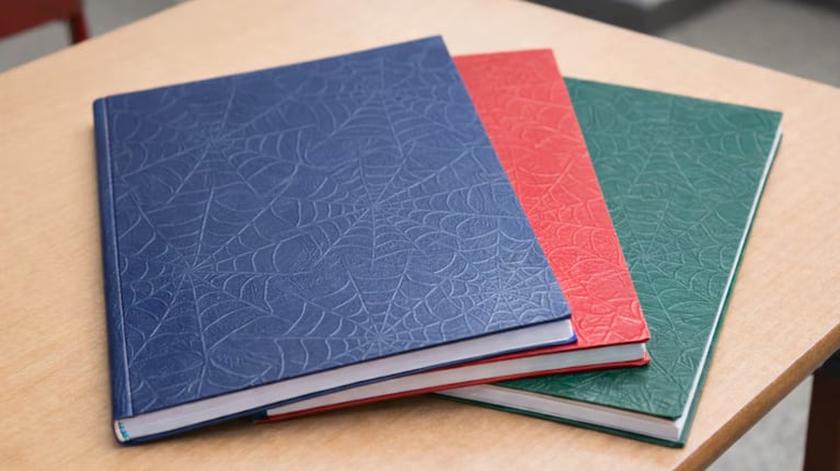Los cuadernos de telaraña son un ícono de las aulas argentinas.