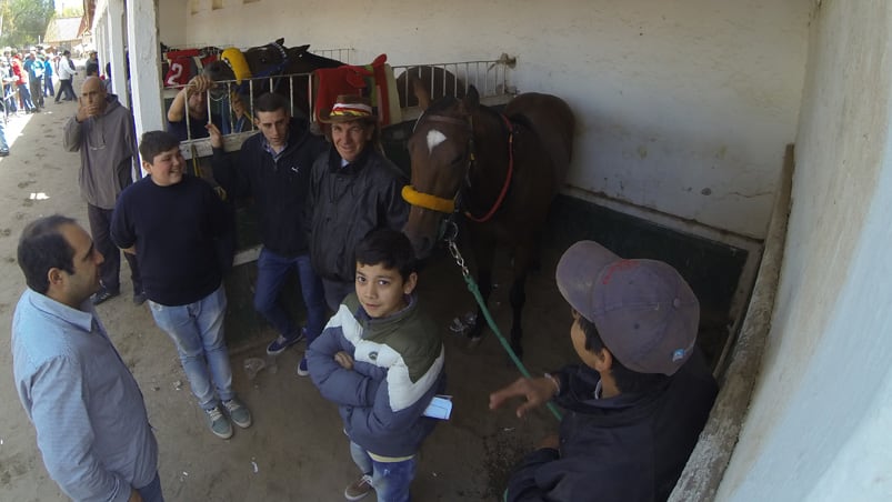 Los cuidadores acompañan a sus caballos antes de la carrera. Foto: Lucio Casalla / ElDoce.tv.