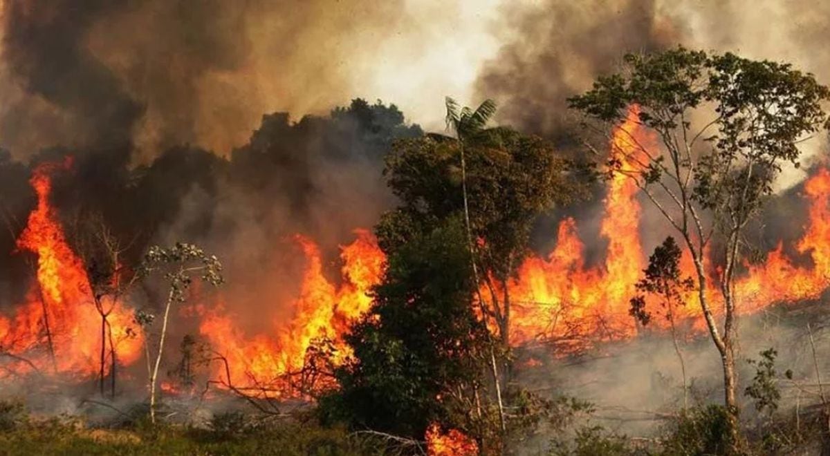 Los damnificados recibirán ayuda financiera.