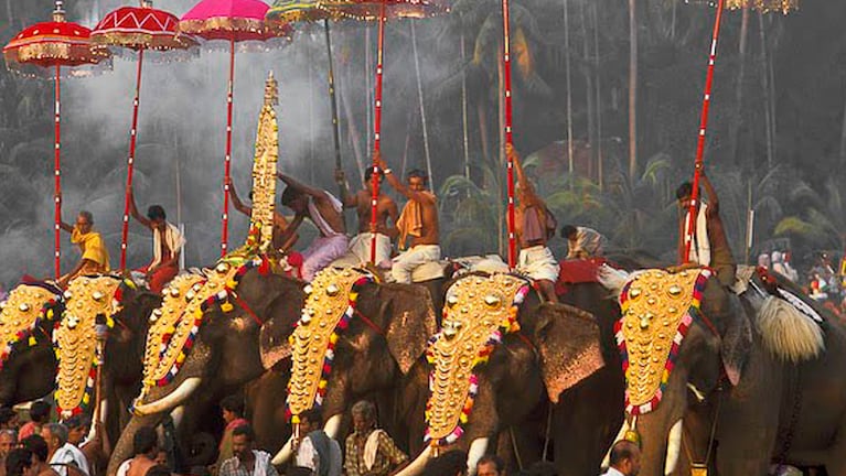 Los desfiles con estos animales forman parte de la tradición en India.
