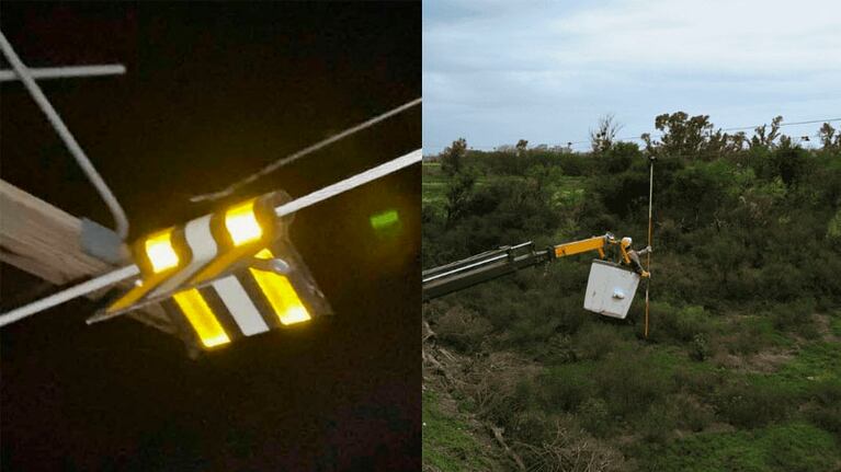 Los desviadores sirven para que las aves migratorias no sufran daños al chocar contra el cableado eléctrico.