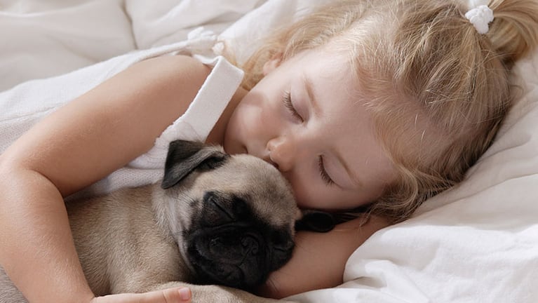 Los efectos de dormir con los perros, bajo la mirada de especialistas.