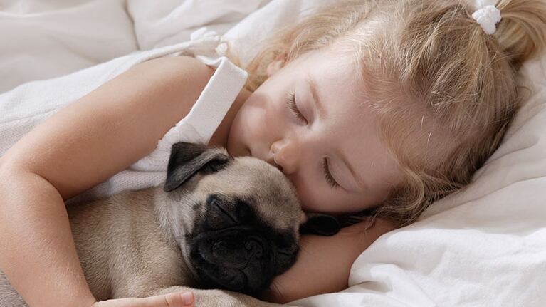 Los efectos de dormir con los perros, bajo la mirada de especialistas.