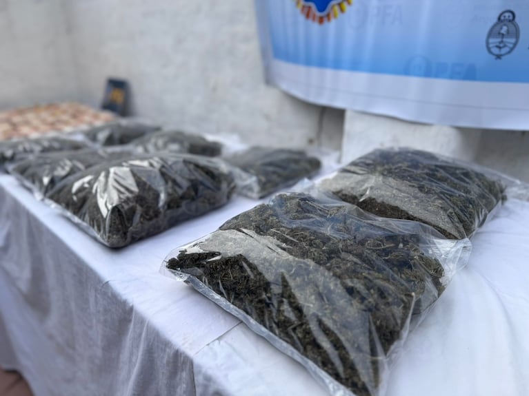 Los elementos secuestrados a la organización narco.