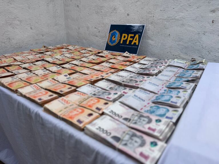 Los elementos secuestrados a la organización narco.