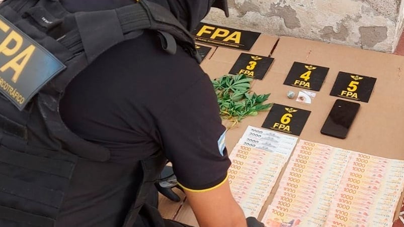 Los elementos secuestrados en la casa de la mujer detenida. 