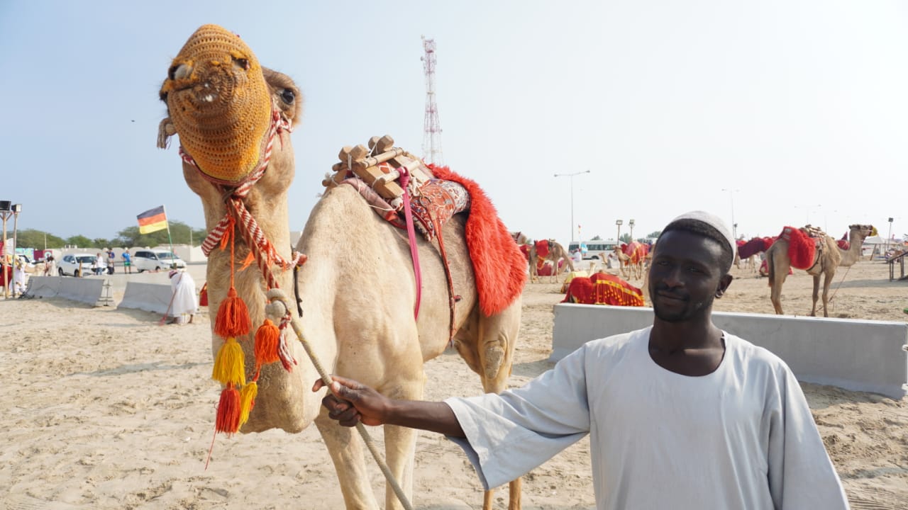 Los enviados especiales pasearon en camellos. Foto: Lucio Casalla/El Doce.