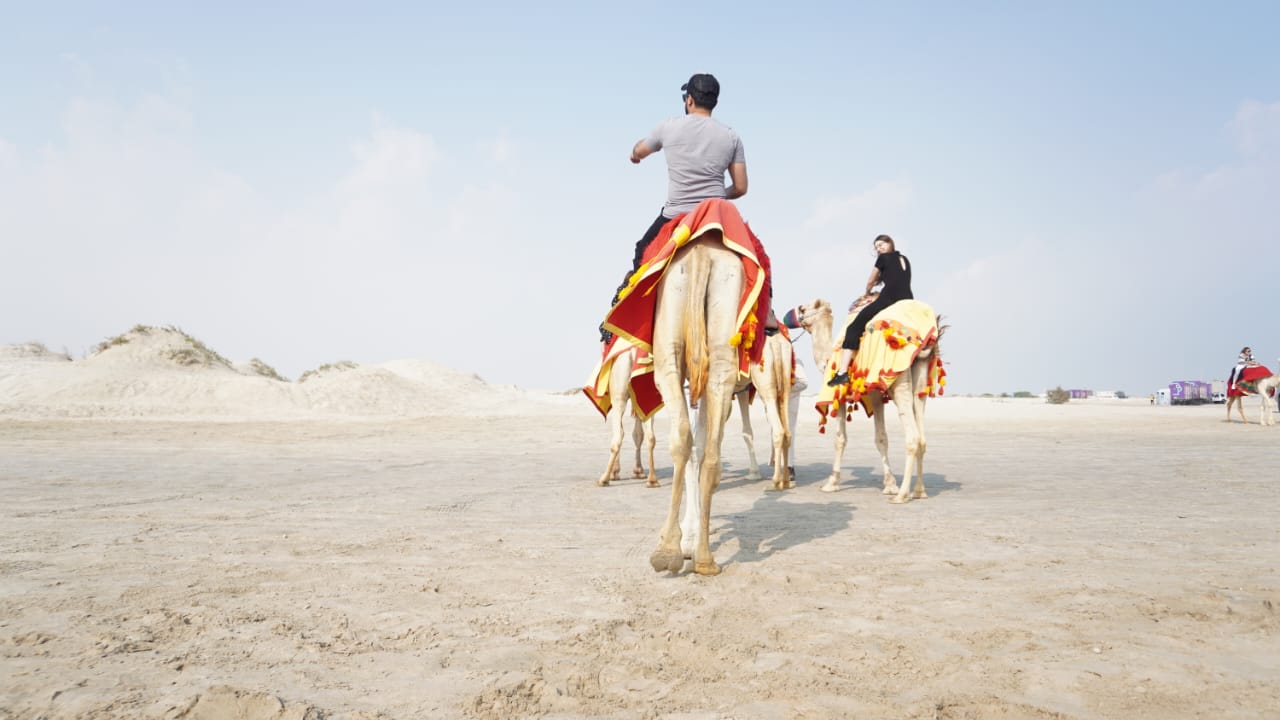 Los enviados especiales pasearon en camellos. Foto: Lucio Casalla/El Doce.