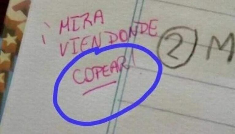 Los errores ortográficos de una maestra que se viralizaron