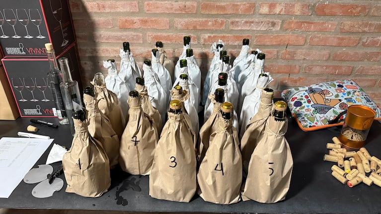 Los expertos internacionales realizaron una cata a ciegas de numerosos vinos de Córdoba.