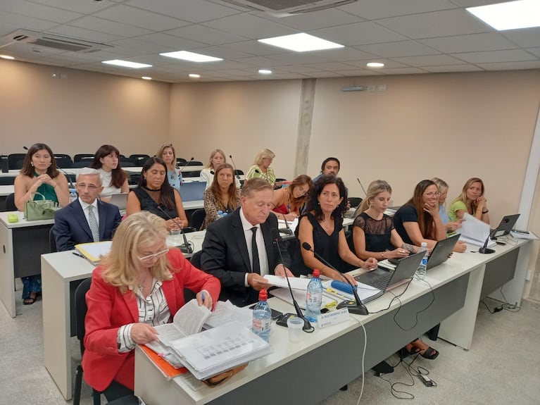 Los fiscales de Cámara y los abogados querellantes en el juicio por la muerte de bebés en el Neonatal.