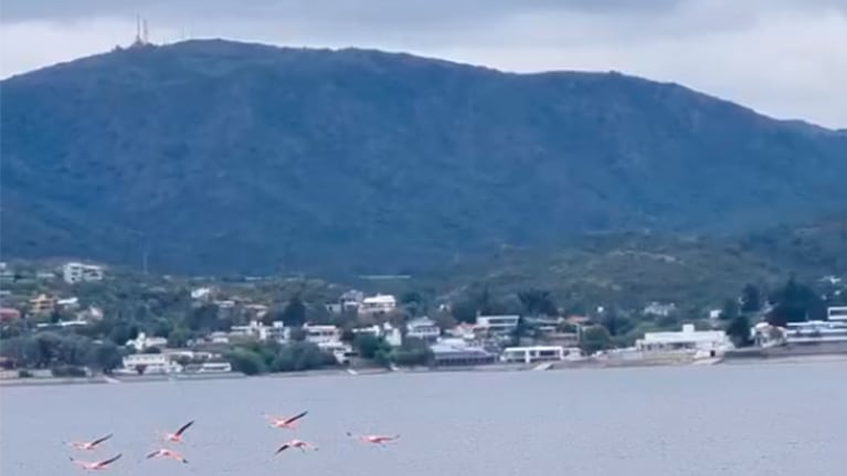 Los flamencos sorprendieron en Villa Santa Cruz del Lago. Imagen: @dieguitocguillen.