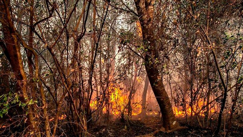 Los incendios desataron la disputa política. 