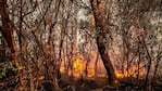 Los incendios desataron la disputa política. 