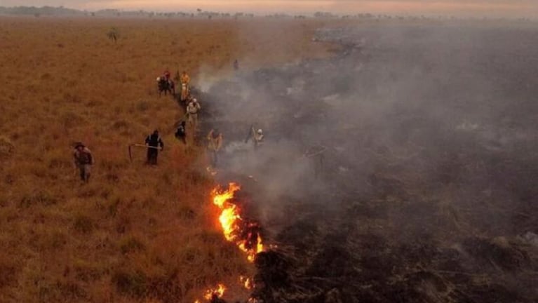 Los incendios en Corrientes ya se devoraron el 8 por ciento del territorio.