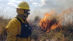 Los incendios forestales arrasaron con más de 800 mil hectáreas. 