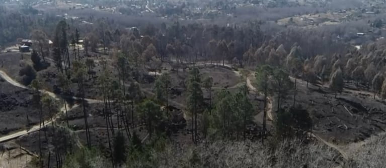 Los incendios forestales ya devoraron más de 4.500 hectáreas en el año.