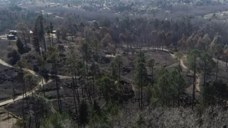 Los incendios forestales ya devoraron más de 4.500 hectáreas en el año.