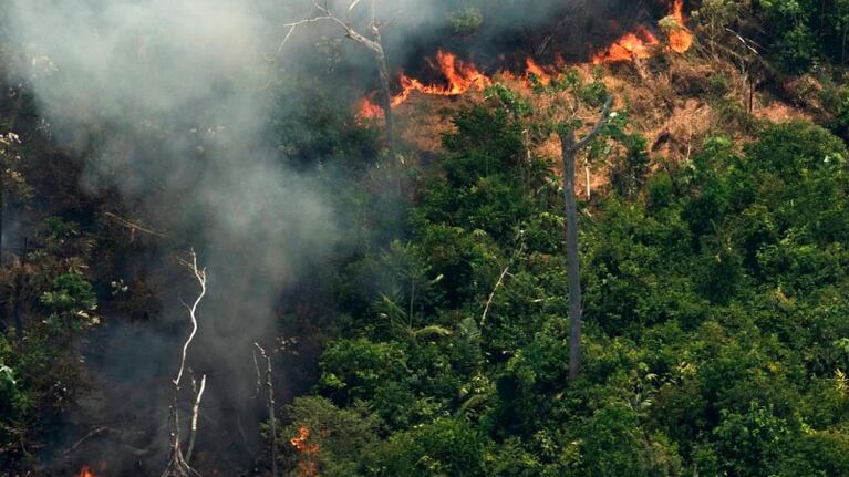 Los incendios no ceden y la preocupación es global.