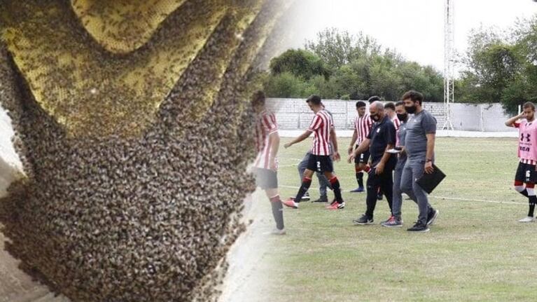 Los jugadores fueron a refugiarse a los vestuarios.