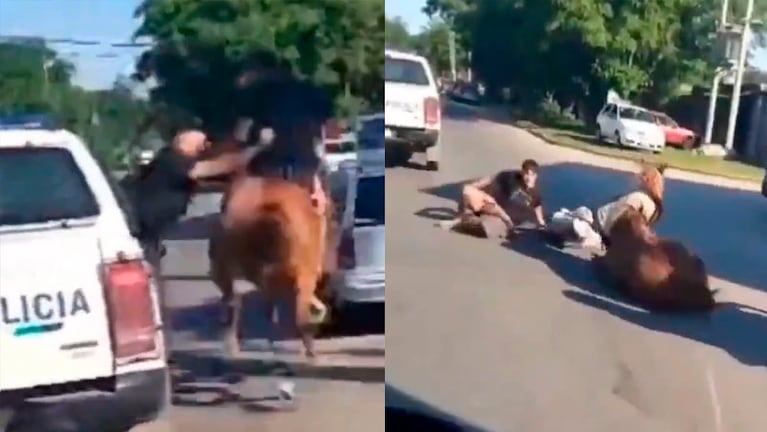 Los ladrones escapaban en un caballo robado y fueron atrapados en Quilmes.