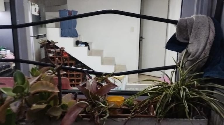 Los ladrones usaron un gato para abrir las rejas de una ventana.