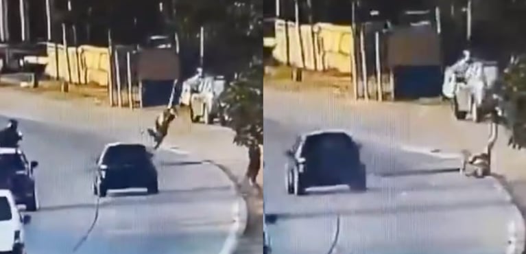 Los ladrones volaron por el aire. Captura de video: TN.