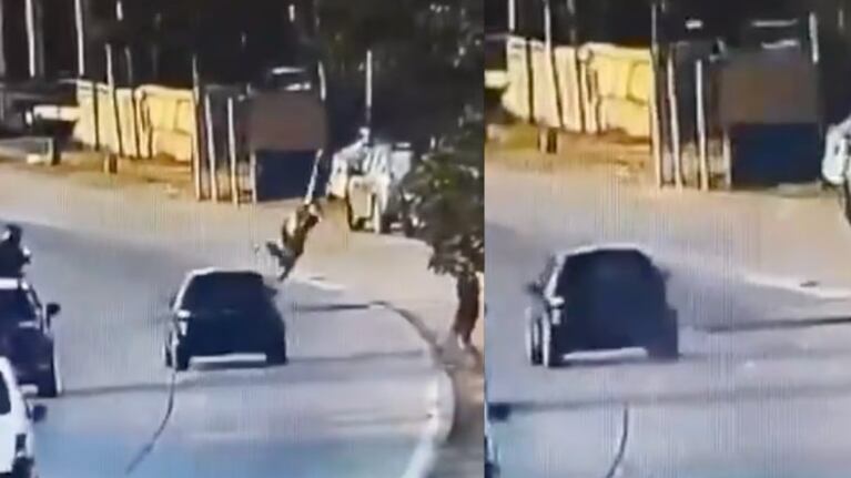 Los ladrones volaron por el aire. Captura de video: TN.