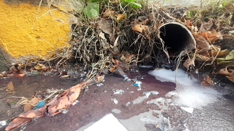 Los líquidos cloacales eran vertidos sin ningún tipo de tratamiento.