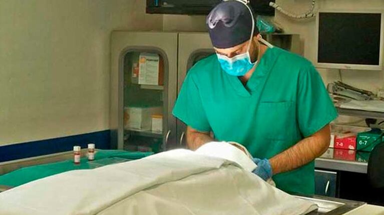 Los médicos forenses trabajan horas extras para completar la alta demanda.