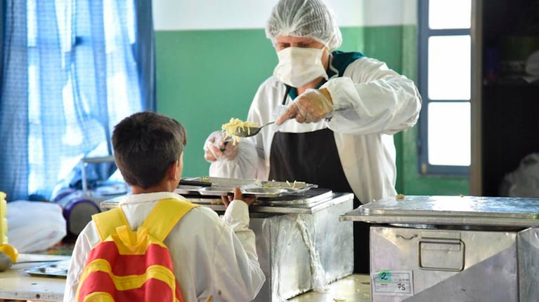Los módulos están compuestos por alimentos necesarios para cubrir las necesidades nutricionales de cada alumno.