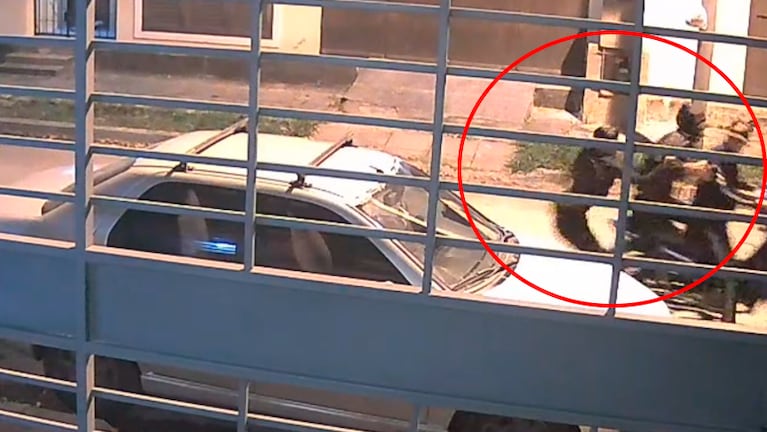 Los motochoros atacaron en barrio Los Granados.