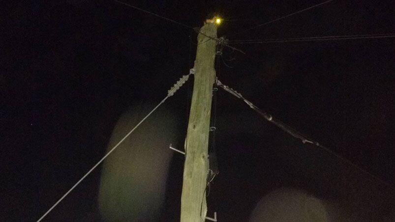 Los ojos del gato brillaban en medio de la oscuridad.