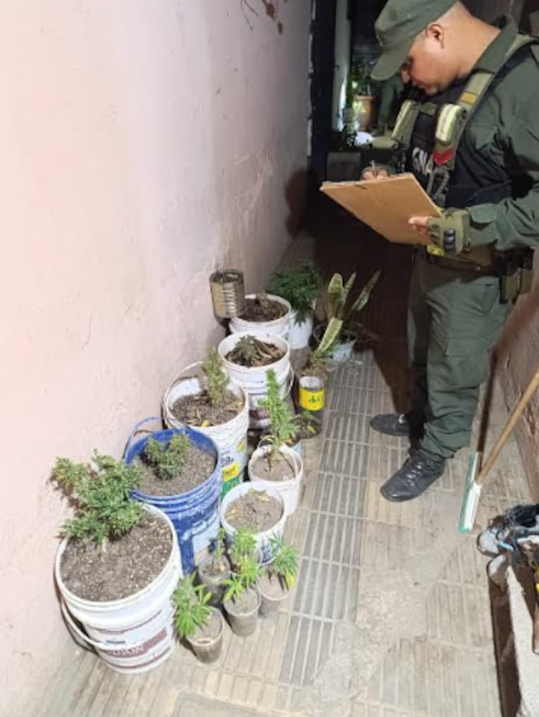 Los operativos fueron en San Francisco, Córdoba, y Frontera, Santa Fe.