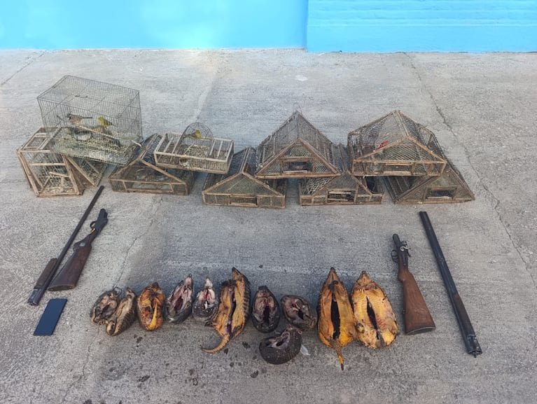 Los operativos se desarrollaron en distintas zonas del interior.