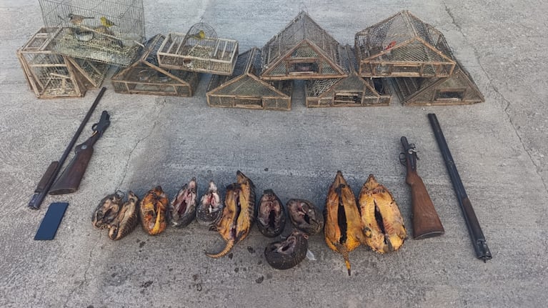 Los operativos se desarrollaron en distintas zonas del interior.