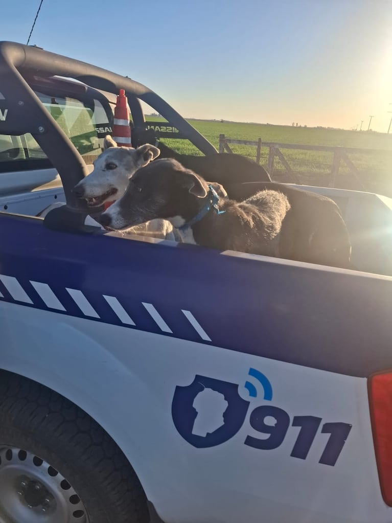 Los operativos se desarrollaron en distintas zonas del interior.