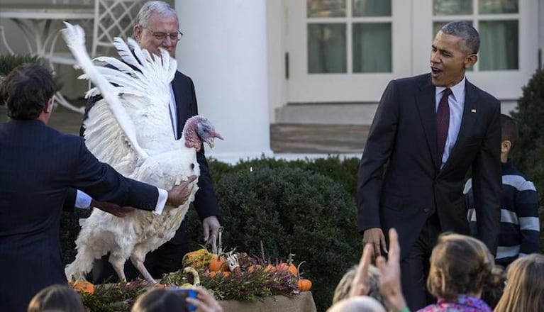 Los pavos de Donald Trump se alojan en un hotel de lujo