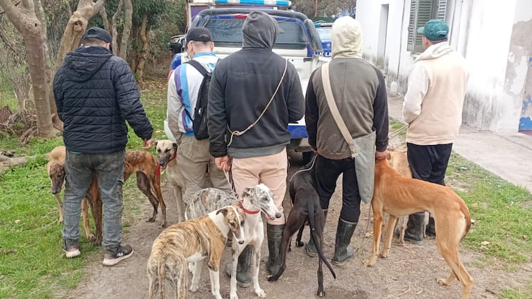 Los perros fueron rescatados en el operativo en el interior de Córdoba.